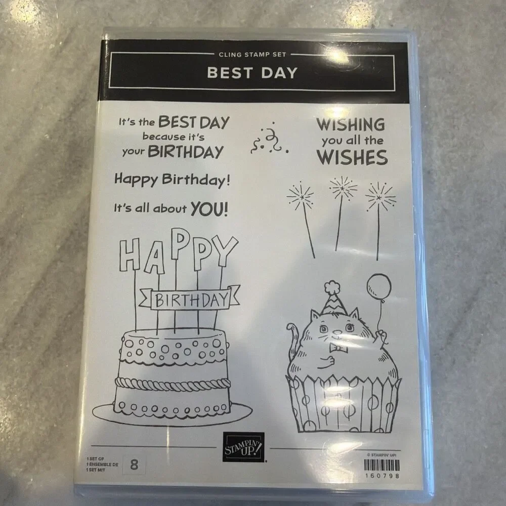 BEST DAY Stamp Set Stampin Up Birthday Cat Cupcake Cake J23